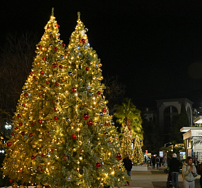 К Новому году на улицах Сочи установлены около 90 праздничных световых арт-объектов