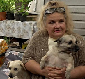 В Сочи соседи травят собак автора хита «Ах, какая женщина» 