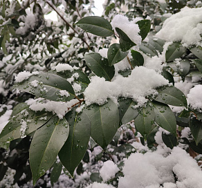 В Сочи в ближайшие двое суток прогнозируется ухудшение погоды