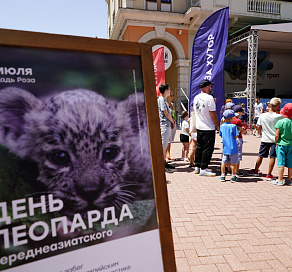 В Год экологии в Сочи масштабно отметили День переднеазиатского леопарда
