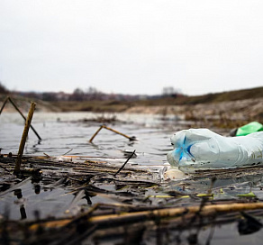 Мэрия Сочи выплатит штраф за загрязнение реки 