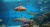 Сочинский океанариум в парке "Ривьера" - Аквариумы. Океанариумы. Дельфинарии. Зоопарки. Сочи SOCHI.com