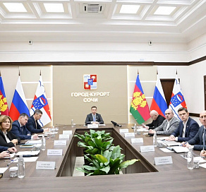 Глава Сочи Андрей Прошунин принял участие в расширенном совещании по ликвидации последствий снегопада в Краснодарском крае