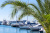 sochi grand marina - Яхт- клубы Сочи SOCHI.com