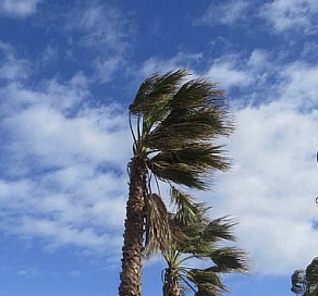 В Сочи завтра усилится ветер