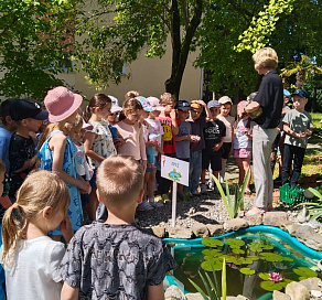 В Сочи созданы еще два школьных агропарка