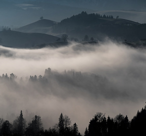 Туристы смогут отдохнуть в Сочи в стиле «Сумерек» 