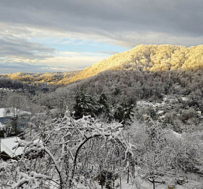 Упавшее дерево проломило крышу дома в Сочи
