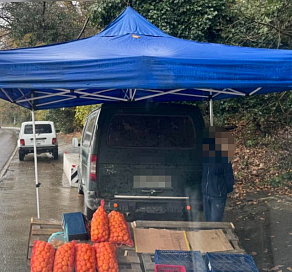 В Сочи задержали нелегального продавца фруктов