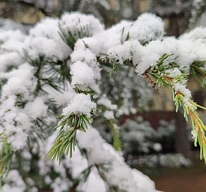 В горах Сочи ожидается сильный снег