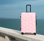 В Сочи раскрыли "гламурную" кражу