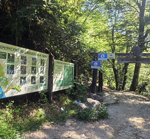 Мужчина сорвался со скалы в горном Сочи