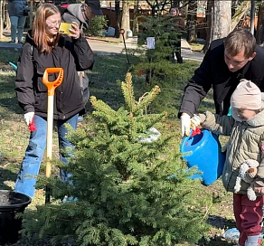 Семьи участников СВО заложили «Аллею памяти» в Сочи
