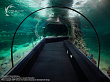 Sochi Discovery World Aquarium (Океанариум)