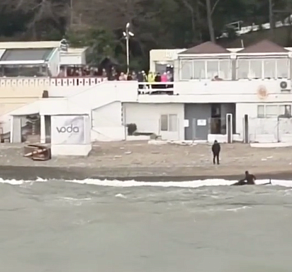 В Сочи обнаружили пропавшего виндсерфера 