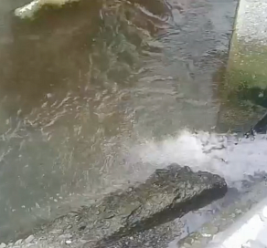 В Водоканале Сочи прокомментировали ситуацию с вытеканиями в реку