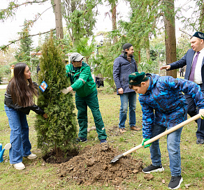В Сочи в честь Года единства народов России высадили 30 деревьев