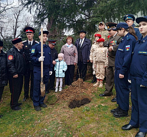 В День защитника Отечества в Сочи высадили аллею участников специальной военной операции