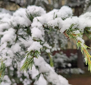 Завтра утром в предгорной и горной зоне Сочи прогнозируется сильный снег