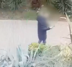 В Сочи поймали местного вора