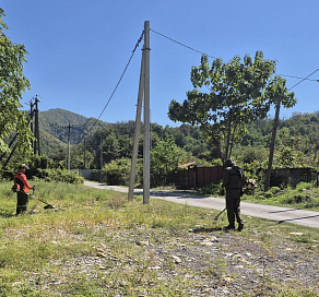 В Сочи проходят мероприятия по борьбе с амброзией