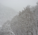 В горах Сочи прогнозируется лавинная опасность
