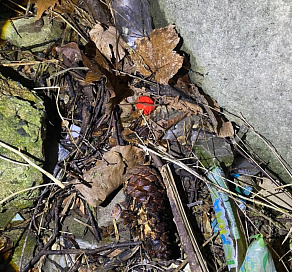 В Сочи поймали 20-летнюю закладчицу