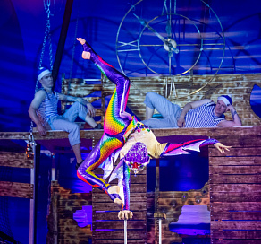 Более 220 тысяч гостей увидели представление цирка Никулина в Сочи Парке