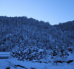 В Сочи в ближайшие сутки ожидается усиление ветра