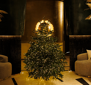 Владимир Пресняков и Наталья Подольская выступят на новогодней программе в Сириусе