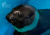 Аквариум & Морской Зоопарк на Новой Мацесте - Аквариумы. Океанариумы. Дельфинарии. Зоопарки. Сочи SOCHI.com
