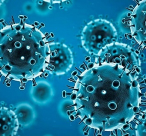 ВОЗ сообщила о новом штамме коронавируса