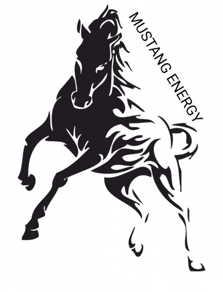 Mustang Energy - Продукты питания Сочи SOCHI.com