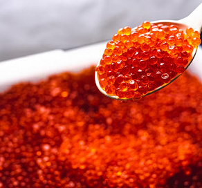 В Сочи задержали приезжую любительницу деликатесов 