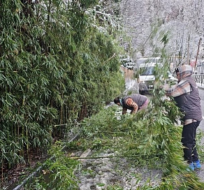 В Сочи устраняют последствия непогоды