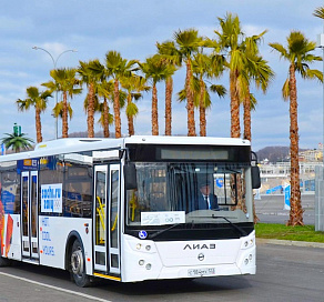 На дорогах Сочи появятся 400 новых автобусов
