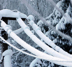 В горах Сочи прогнозируется сильное налипание мокрого снега на проводах  и деревьях 