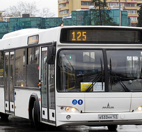 В Сочи водитель автобуса предстанет перед судом