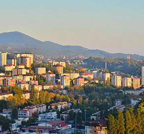 Сочинцам напомнили о правилах благоустройства и санитарного содержания территорий