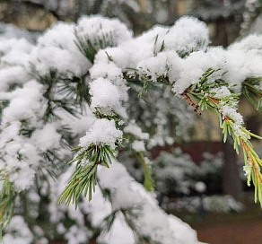 Ночью в предгорьях Сочи ожидается гололед и мокрый снег