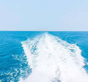 Губернатор объяснил, почему турецкий паром не пустили в Сочи