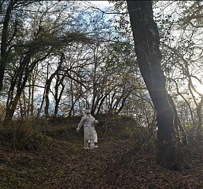 В Сочи проведена вакцинация диких животных от бешенства