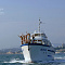 Моторная яхта "Меркурий" - Организация экскурсий. Отдых в горах и на море Сочи SOCHI.com