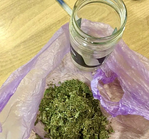 Поездка с «закаткой» обернулась уголовным делом в Сочи